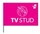TVStud Schwenkfahne - 70 x 50cm